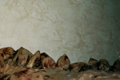 scan0018